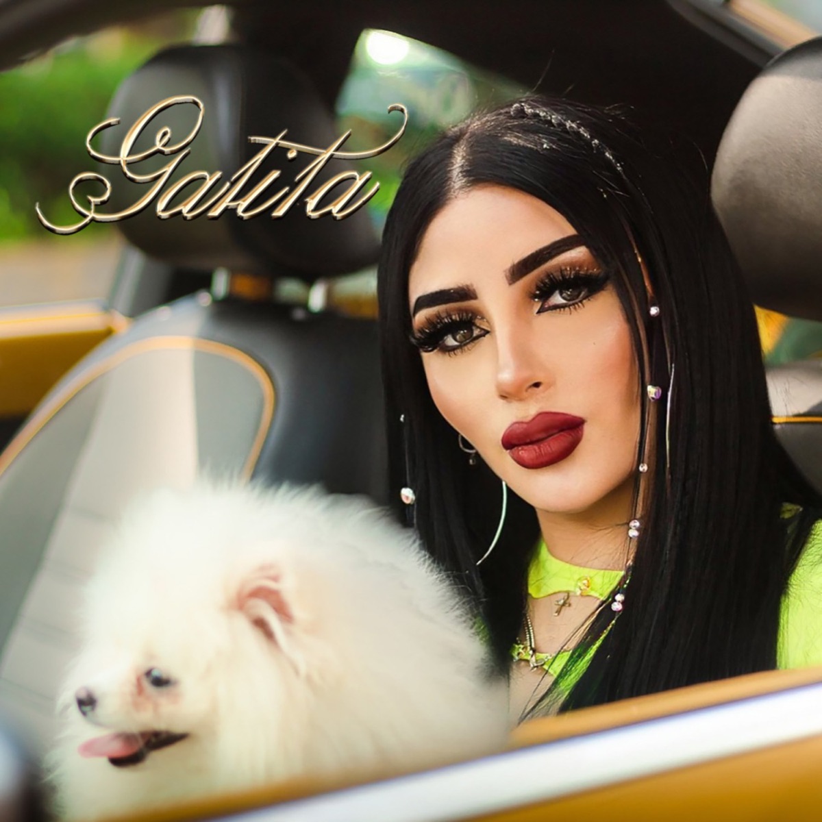 Gatita - Single by Bellakath album cover