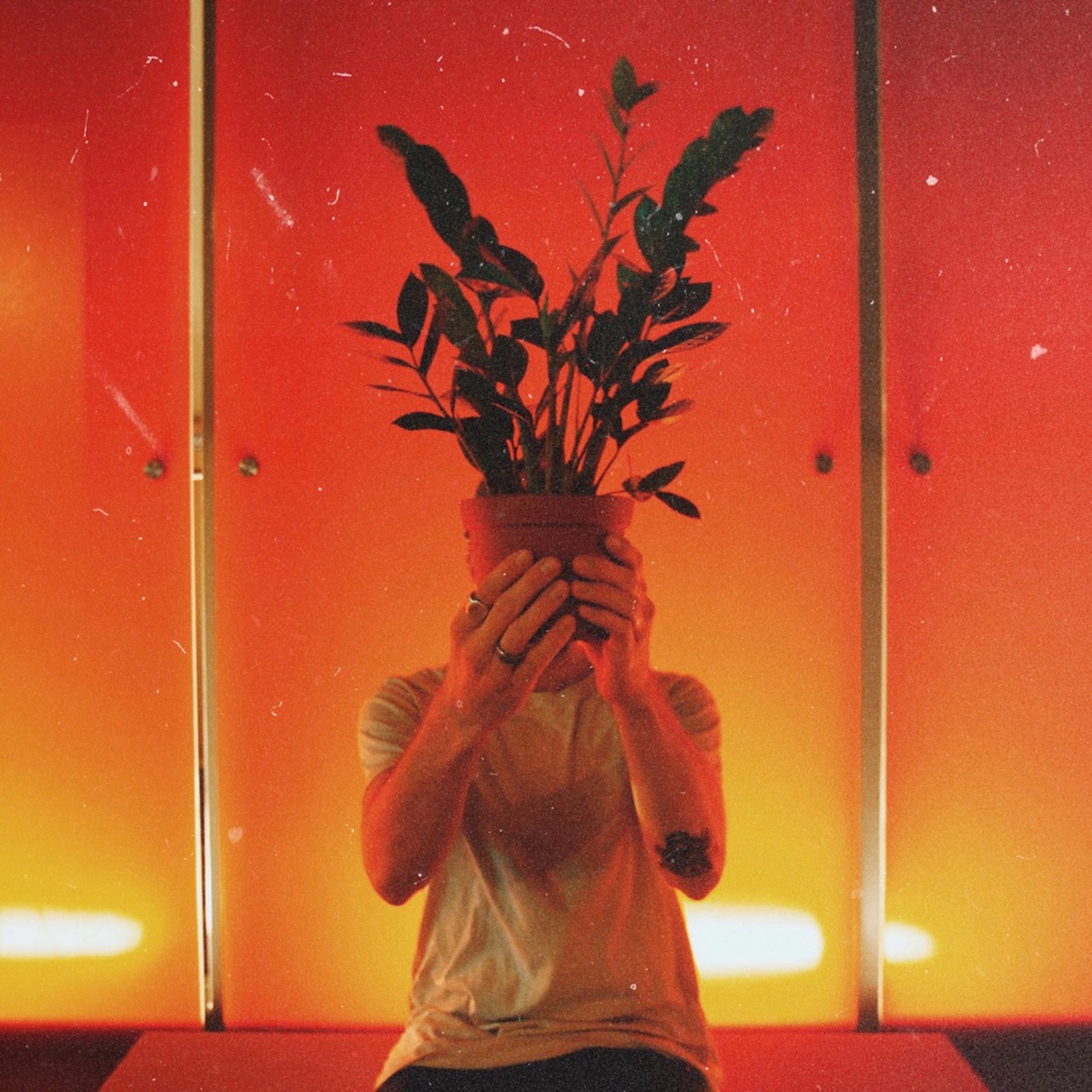 Mind the Colors - EP by Stravs album cover