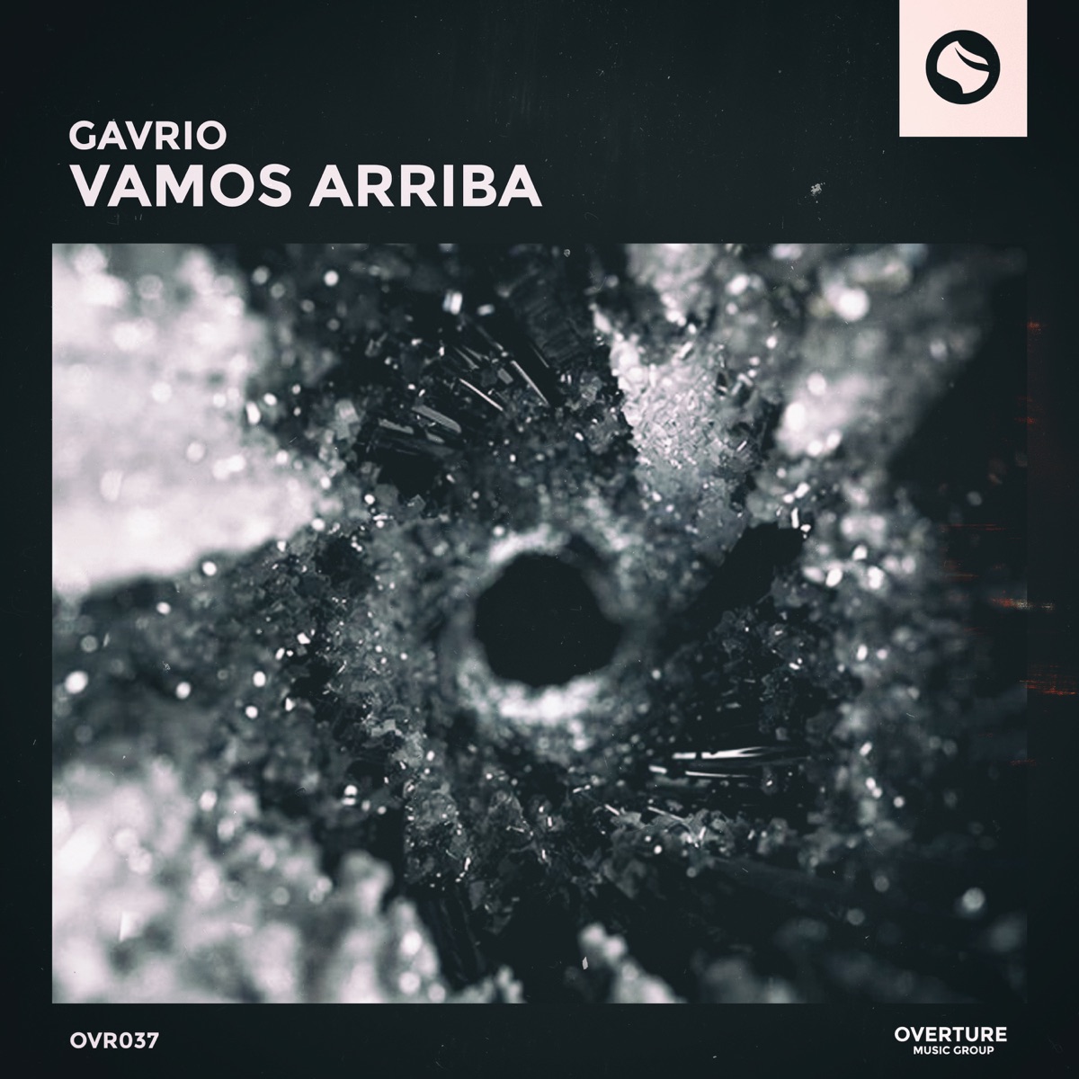 Vamos Arriba - Single by GAVRIO album cover