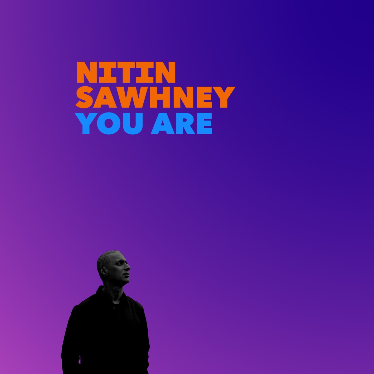 You Are (Instrumental Economy) [feat. Ashwin Srinivasan & Anna Phoebe] - Single by Nitin Sawhney album cover