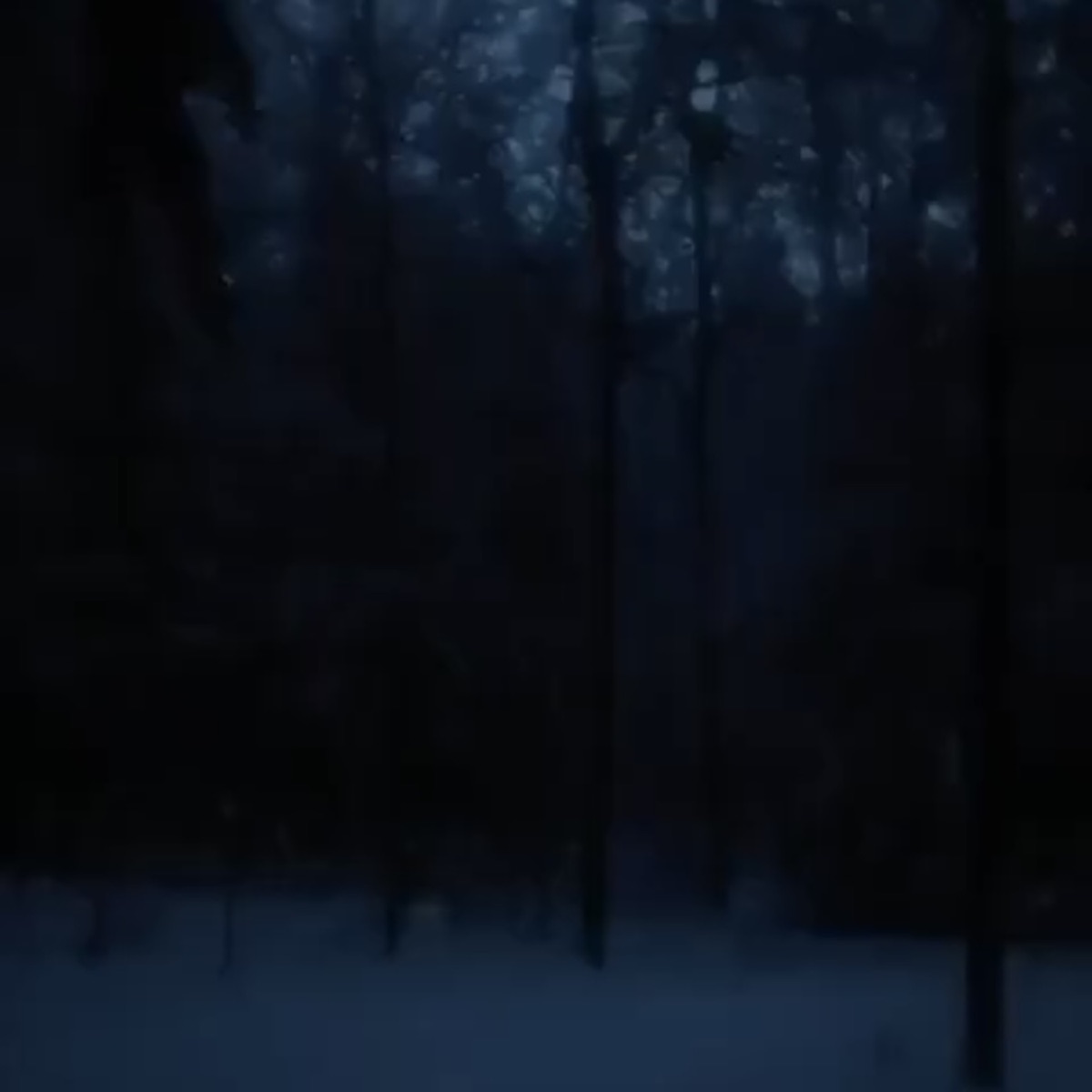 dark snowy night - Single by daniel.mp3 album cover