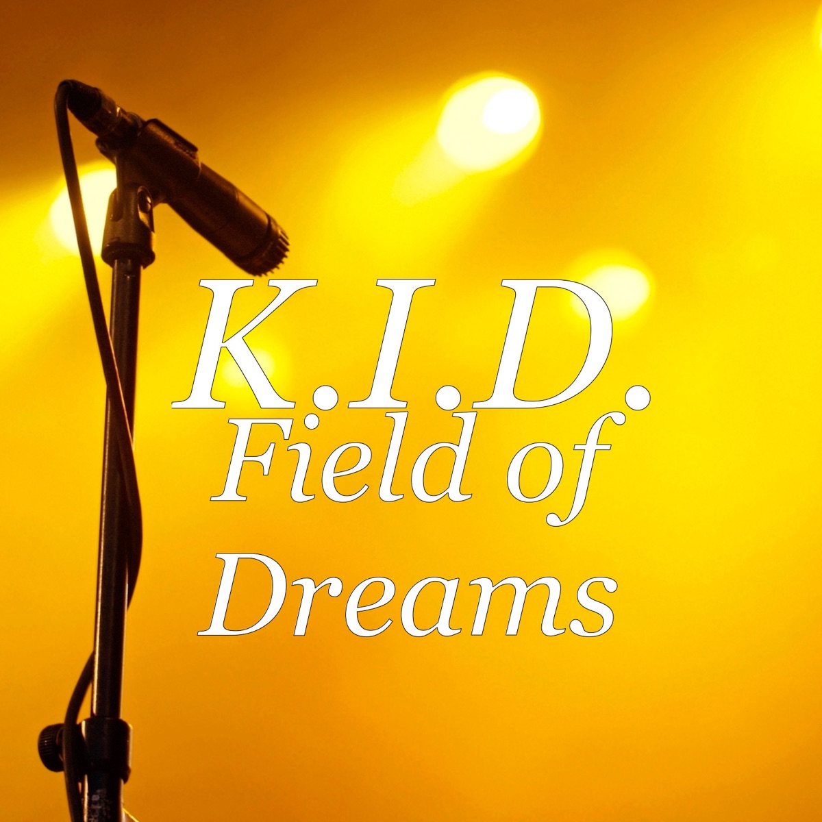 Field of Dreams - Single by Kid album cover