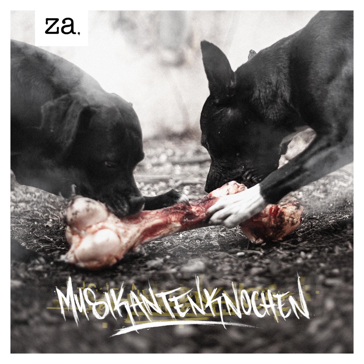 MUSIKANTENKNOCHEN - EP by za. album cover