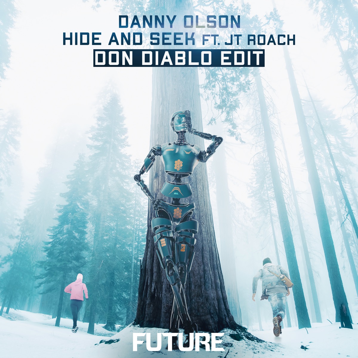 Hide and Seek (feat. JT Roach) [Don Diablo Edit] - Single by Danny Olson album cover