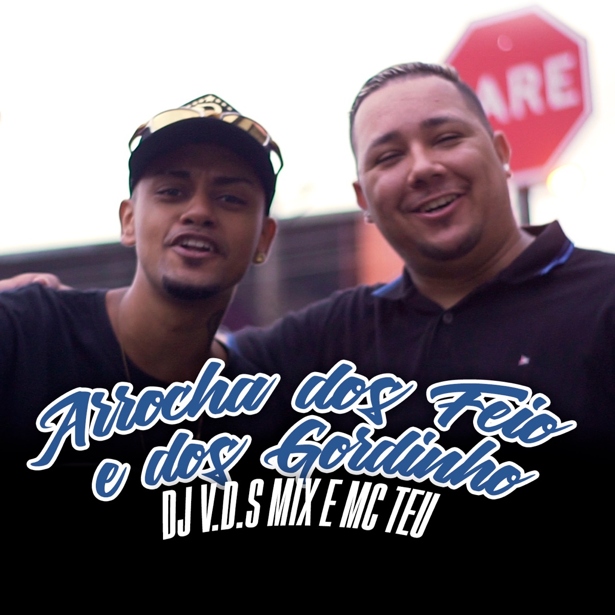 Arrocha dos Feio e dos Gordinho - Single by DJ V.D.S Mix & Mc Teu album cover