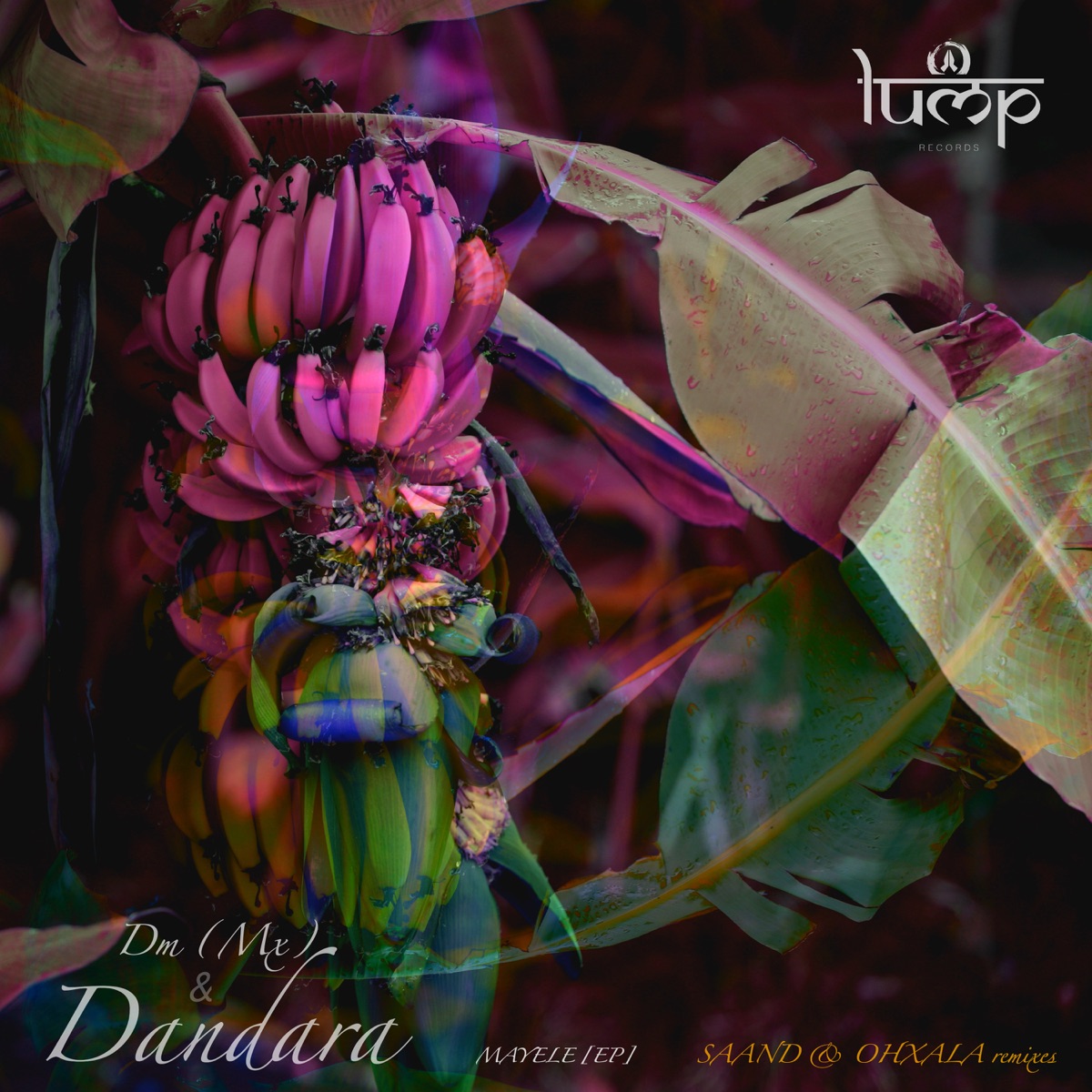 Mayale - EP by Dm & Dandara album cover