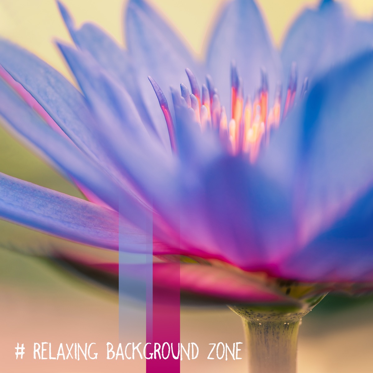 # Relaxing Background Zone: Music Therapy, Yoga & Anti Stress Vibes, Meditation Practice by Zen Meditation Music Academy, Relaxation Meditation Songs Divine & Stress Relief Calm Oasis album cover