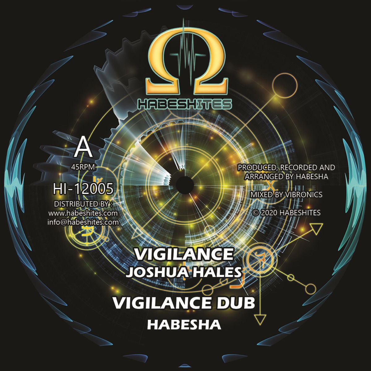 Vigilance (feat. Joshua Hales) - Single by Sista Habesha & Joshua Hales album cover