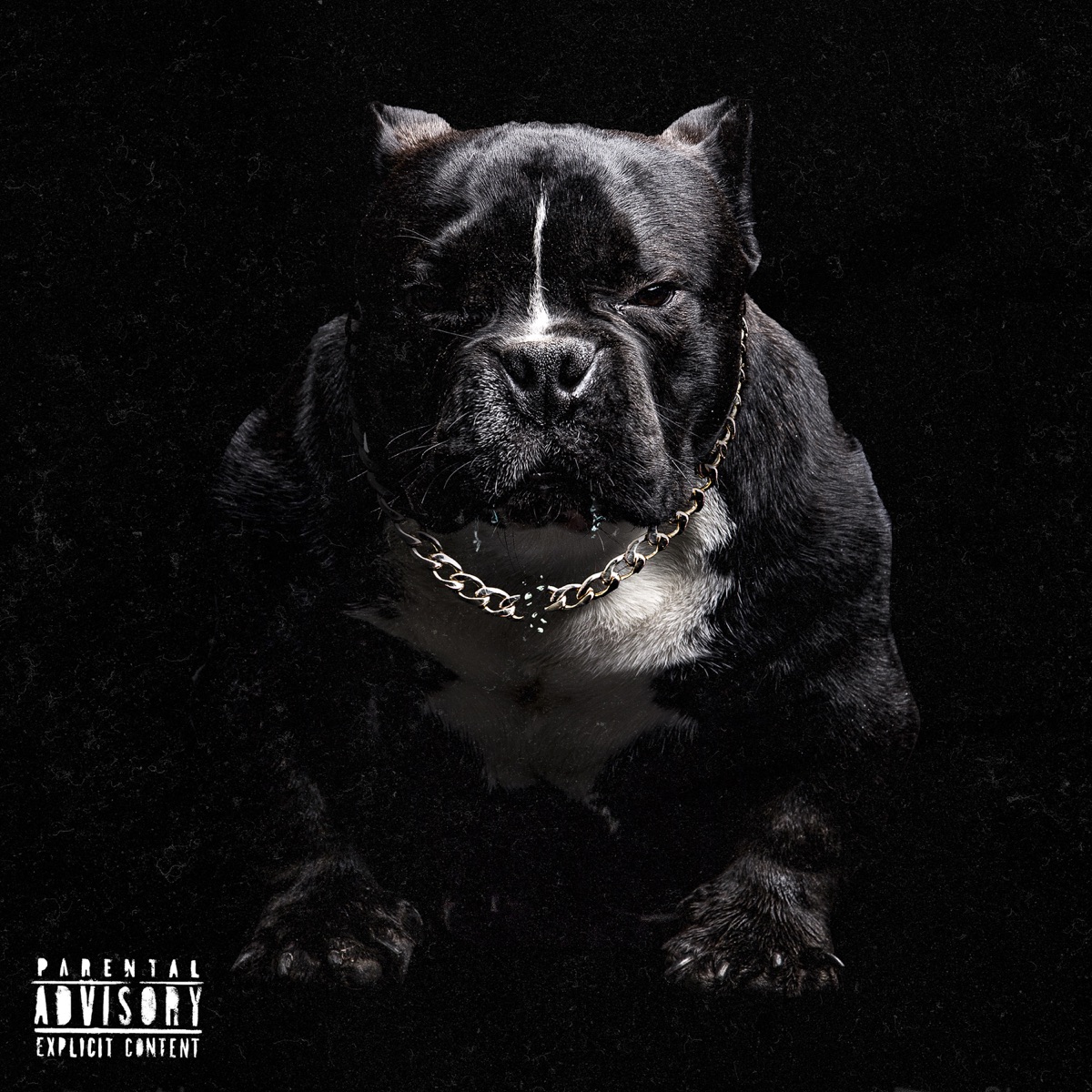 Perro Sin Cadena by Remik Gonzalez album cover