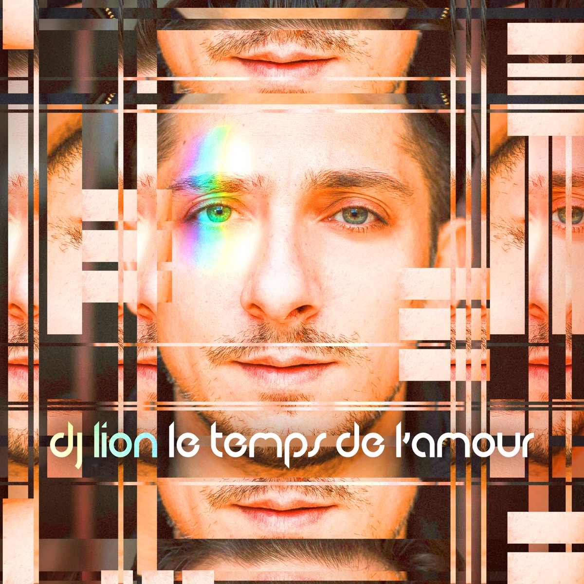 Le Temps De l'amour by DJ Lion album cover