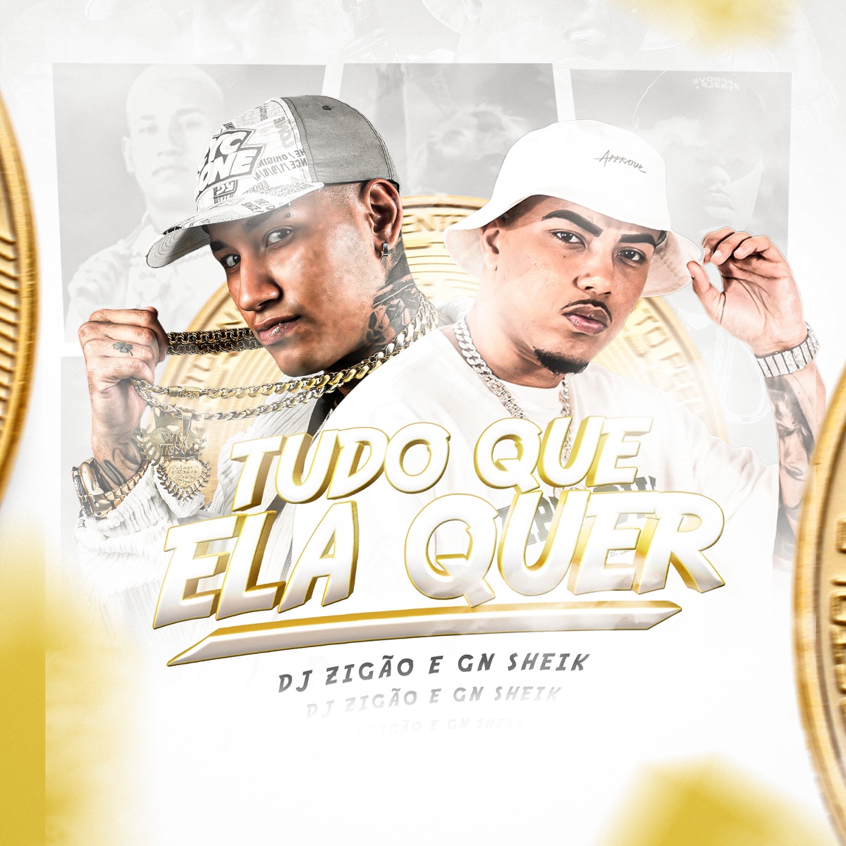 Tudo Que Ela Quer - Single by DJ Zigão & MC Gn Sheik album cover