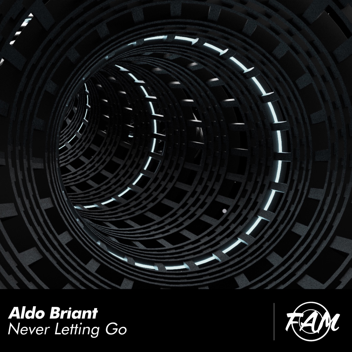 Never Letting Go - Single by Aldo Briant album cover