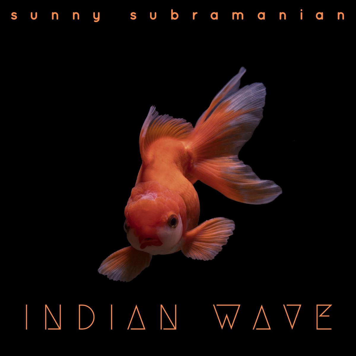 Indian Wave (feat. Vanshaj) - Single by Sunny Subramanian album cover