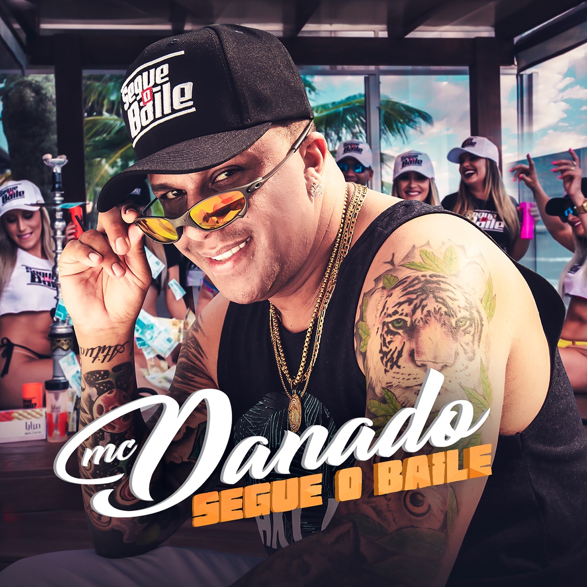 Segue o Baile - Single by Mc Danado album cover