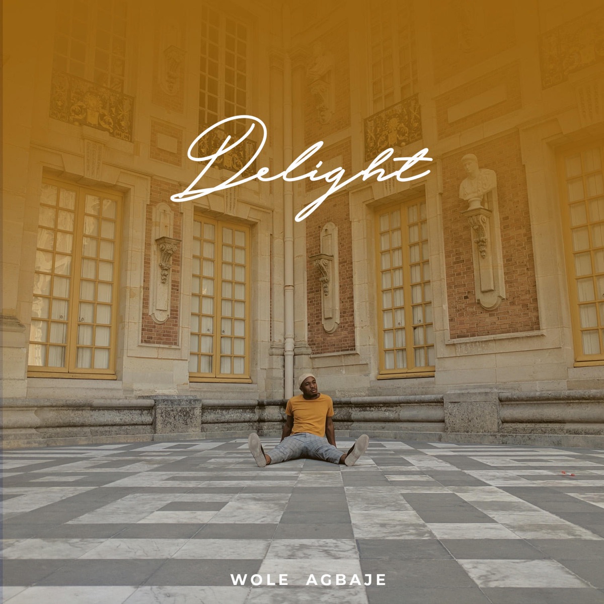 Delight - Single by Wole Agbaje album cover
