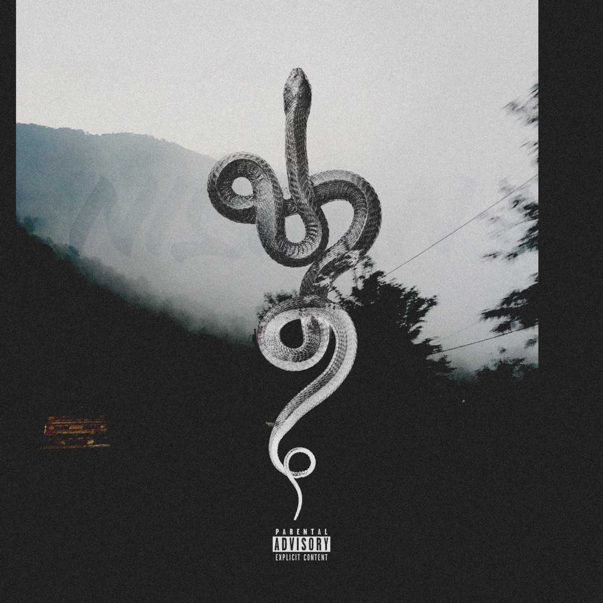 Nishan - Single by Venm album cover