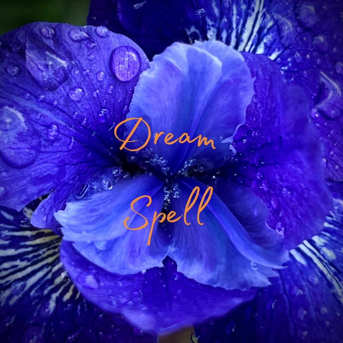 Dream Spell - Single by Burke Mulvany & Jocéan album cover