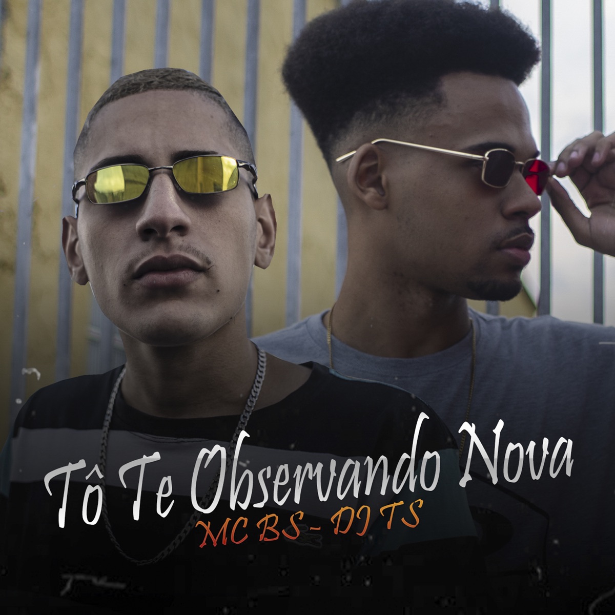 To Te Observando Nova - Single by Mc BS & DJ T.S. album cover