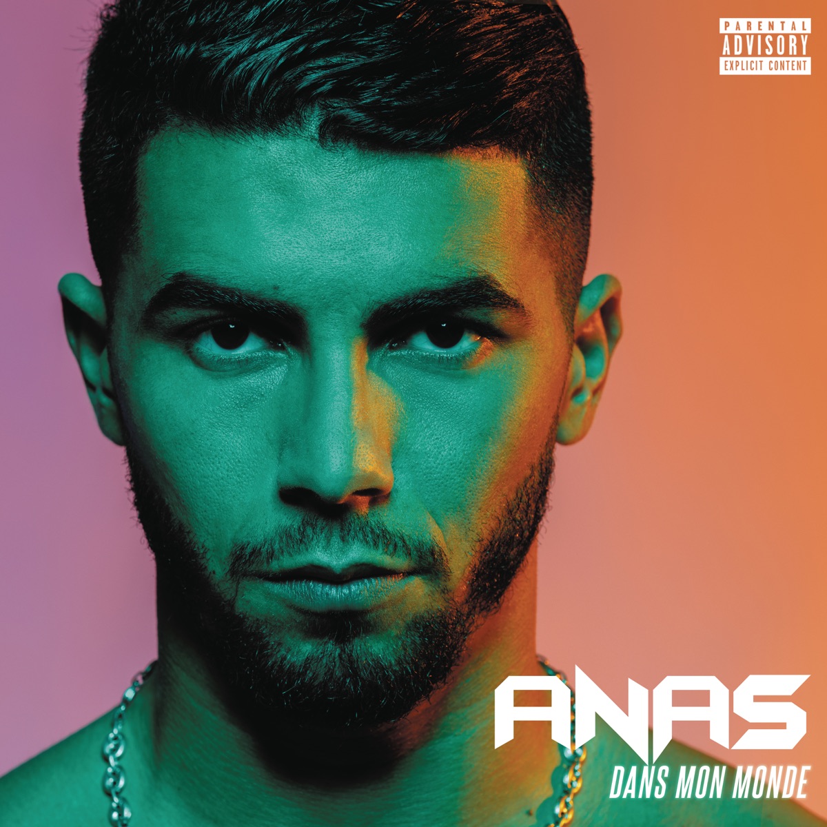 Dans mon monde by Anas album cover