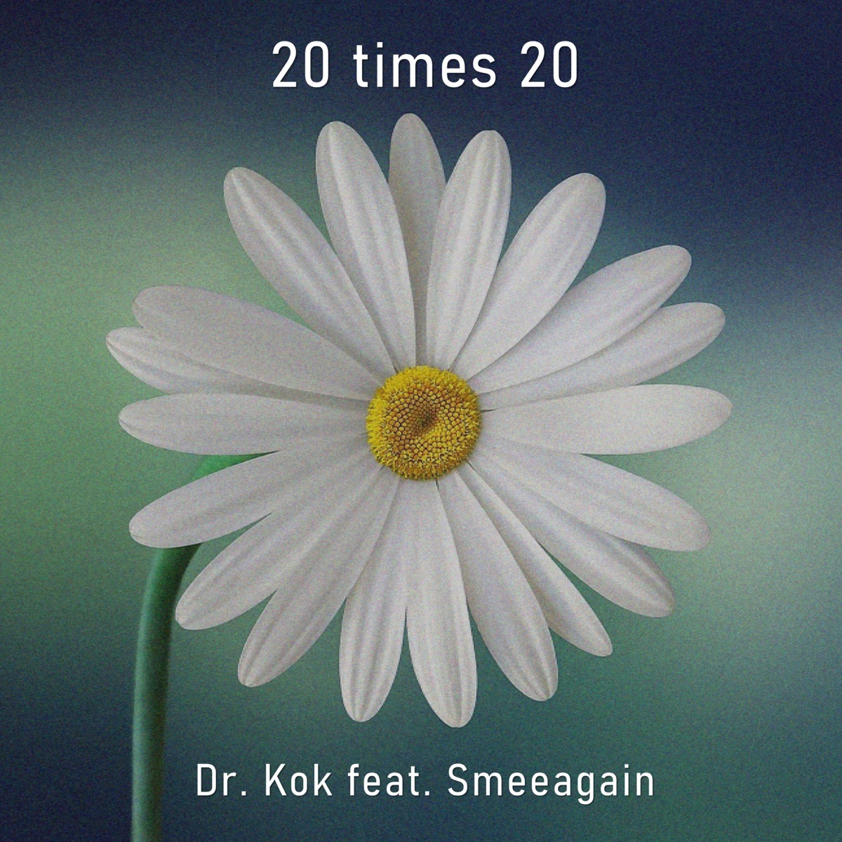 20 Times 20 (feat. Smeeagain) - Single by Dr. Kok album cover