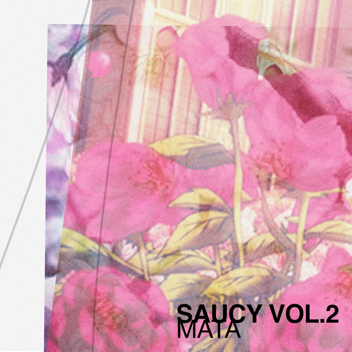 Saucy Vol. 2 by Mata album cover