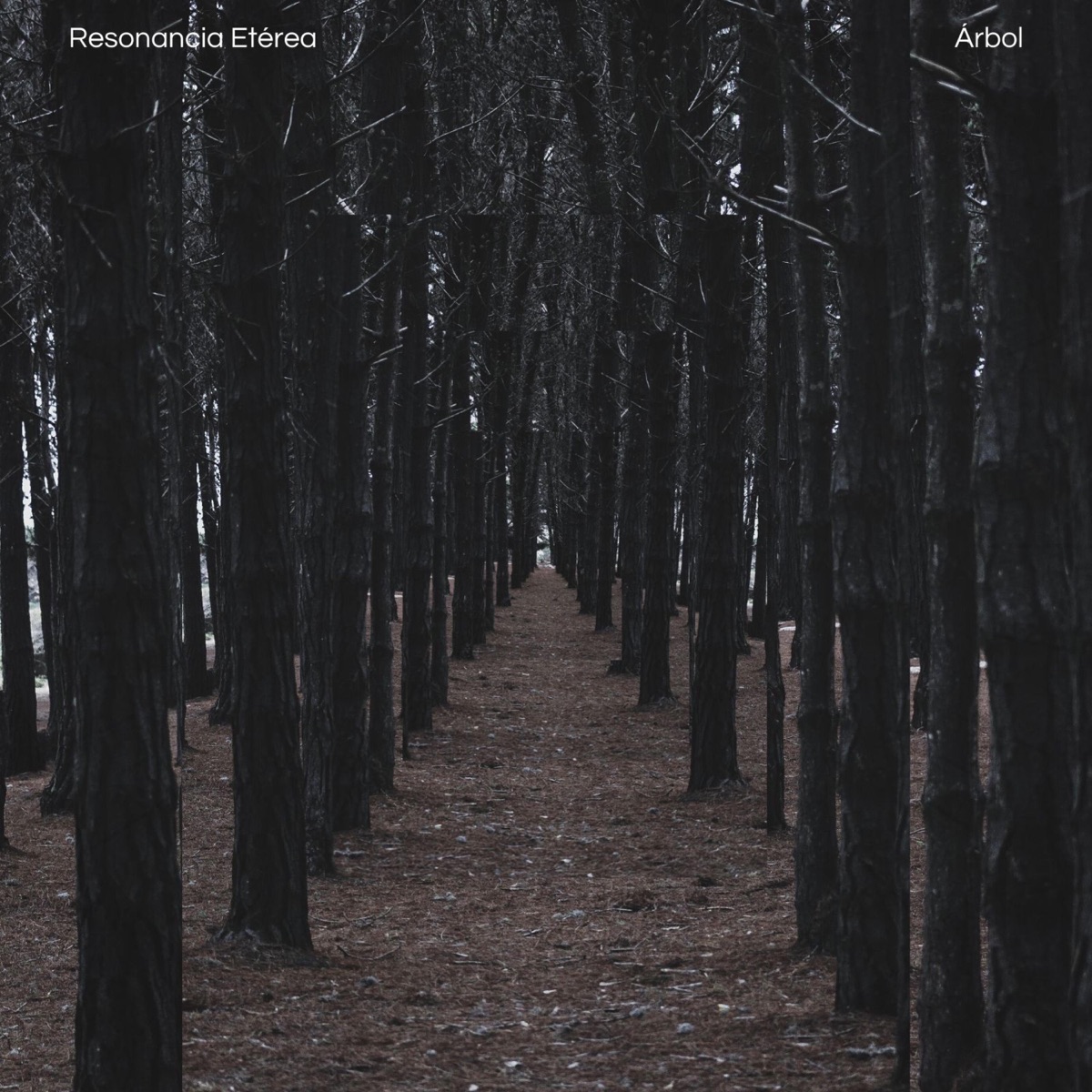 Árbol - Single by Resonancia Etérea album cover