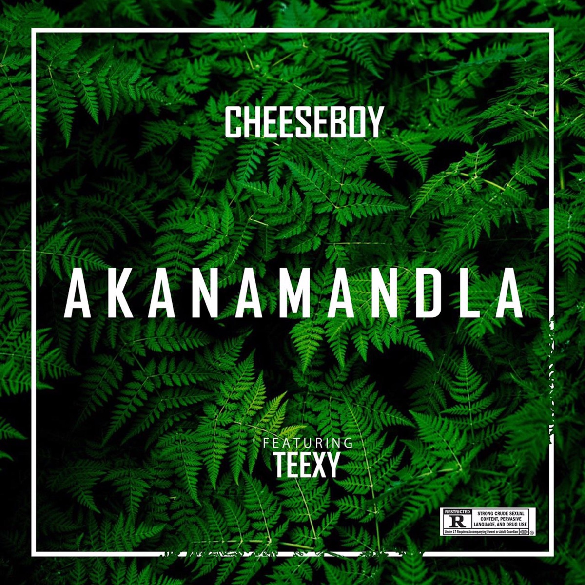 Akanamandla (feat. Teexy) - Single by Cheeseboy album cover