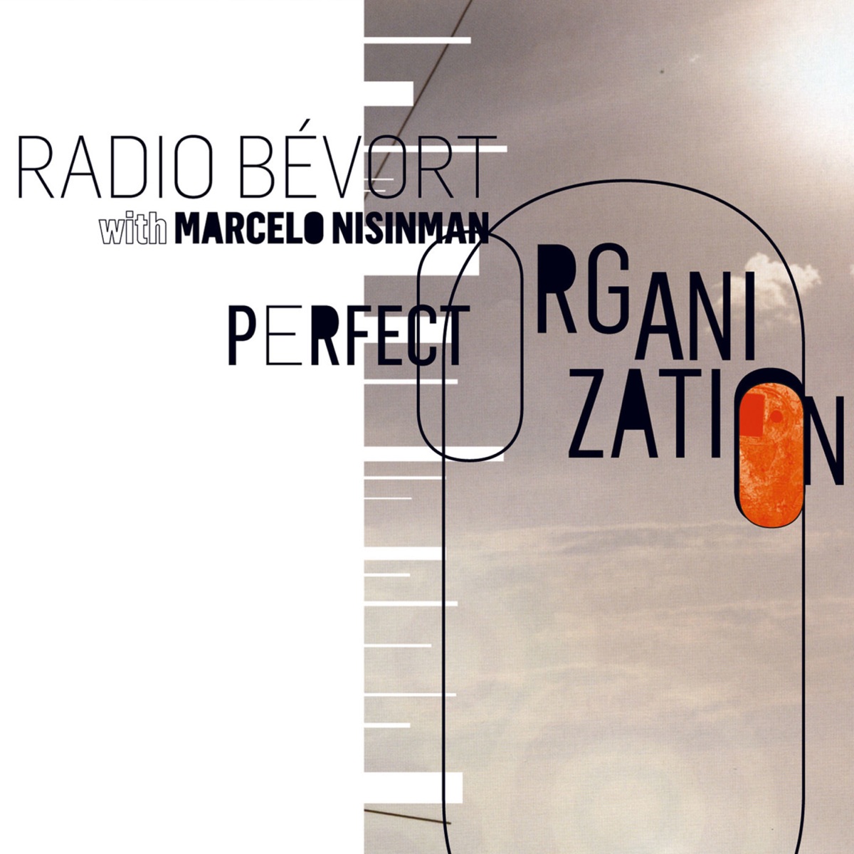 Perfect Organization (with Marcelo Nisinman) by Radio Bévort album cover