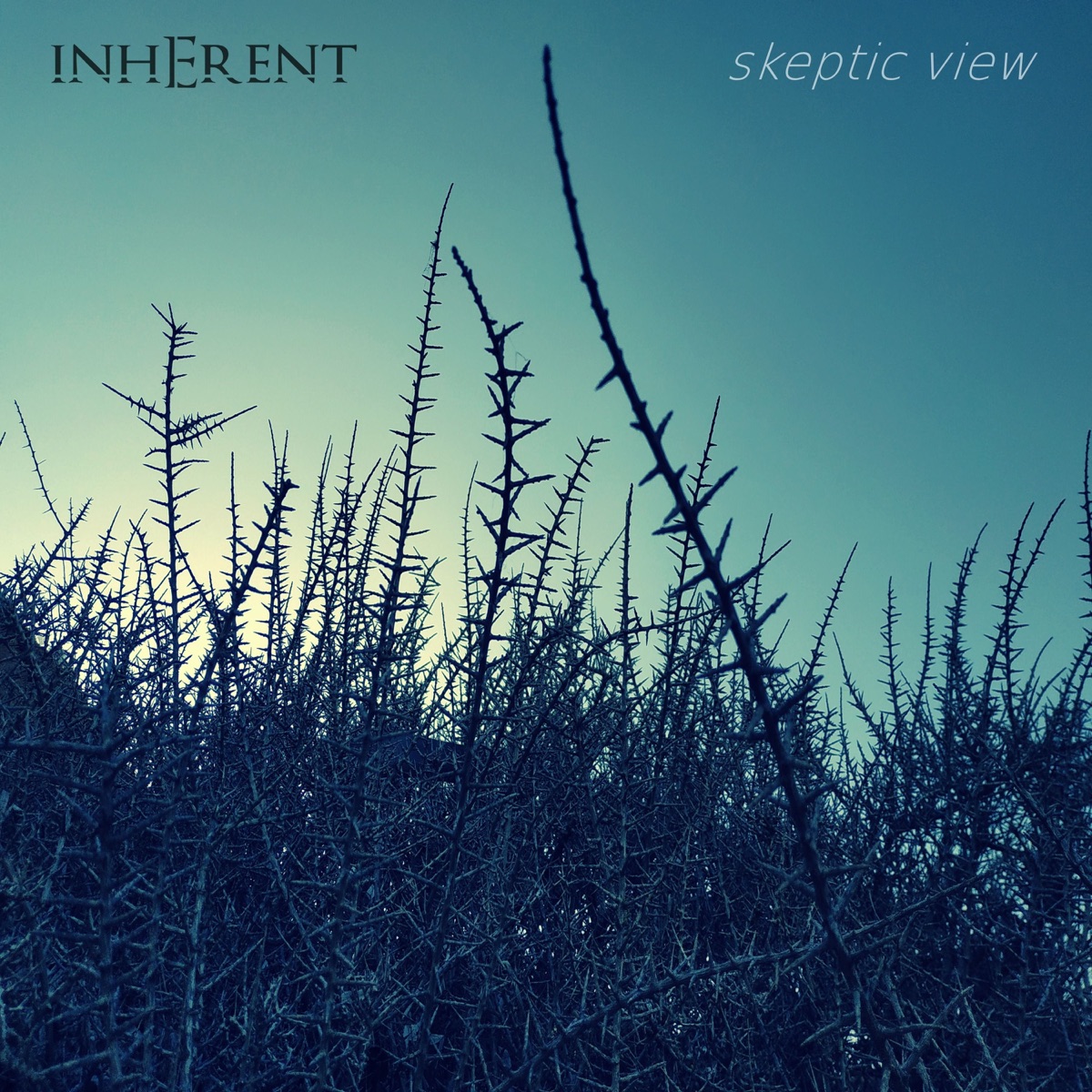 Skeptic View - EP by Inherent album cover