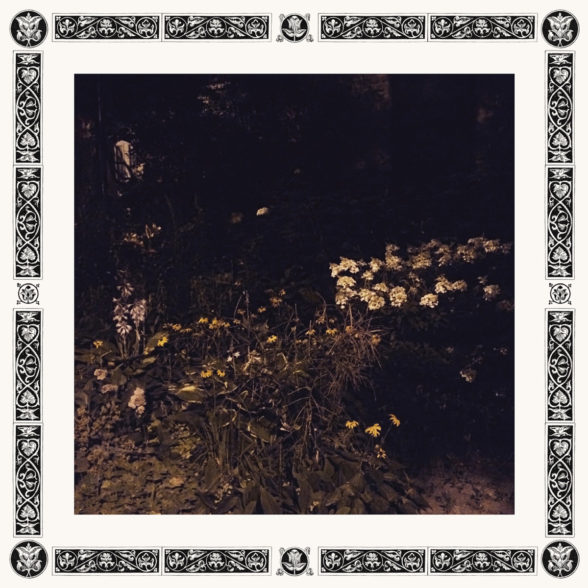 Pale Bloom by Sarah Davachi album cover