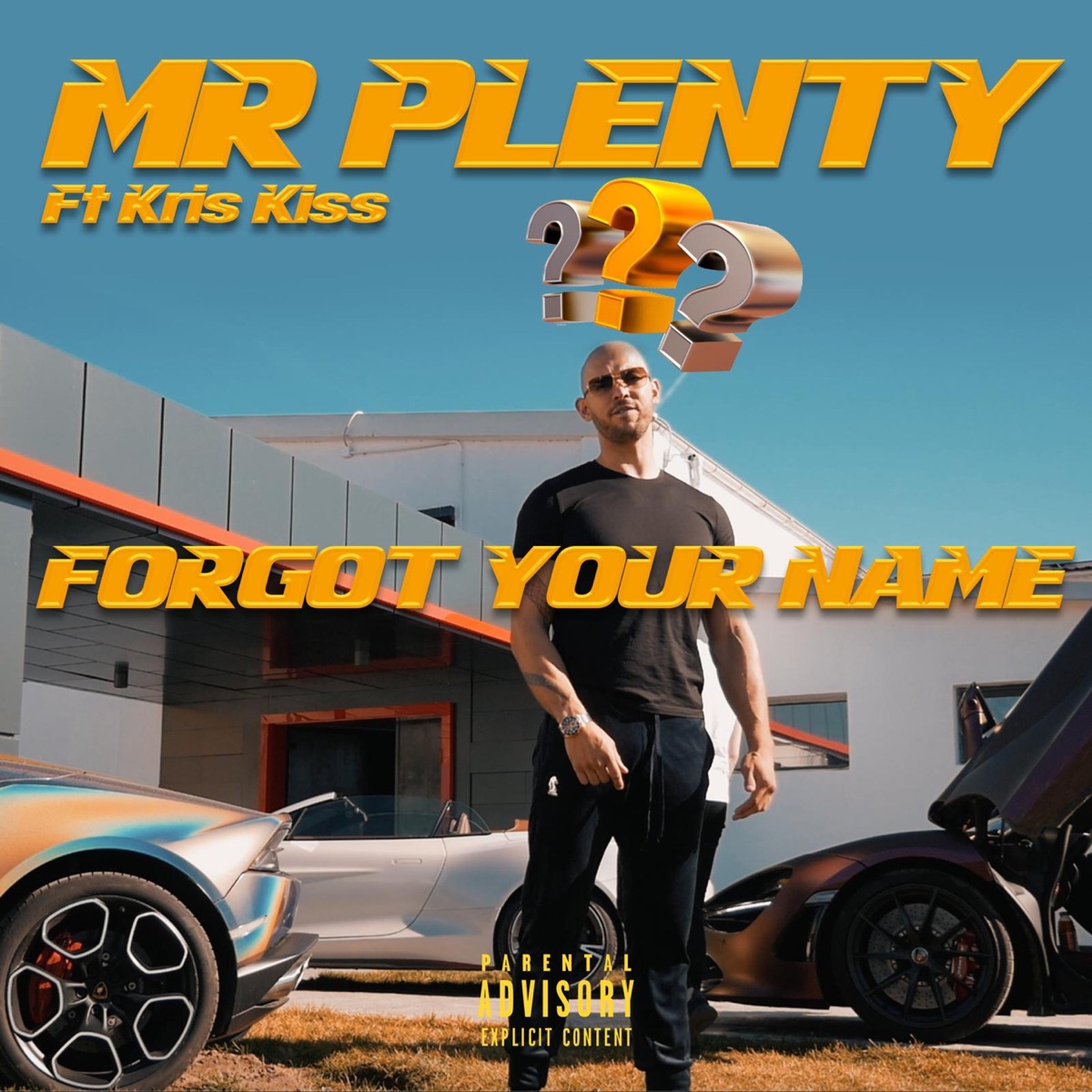 Forgot Your Name (feat. Kris Kiss) - Single by Mr Plenty album cover