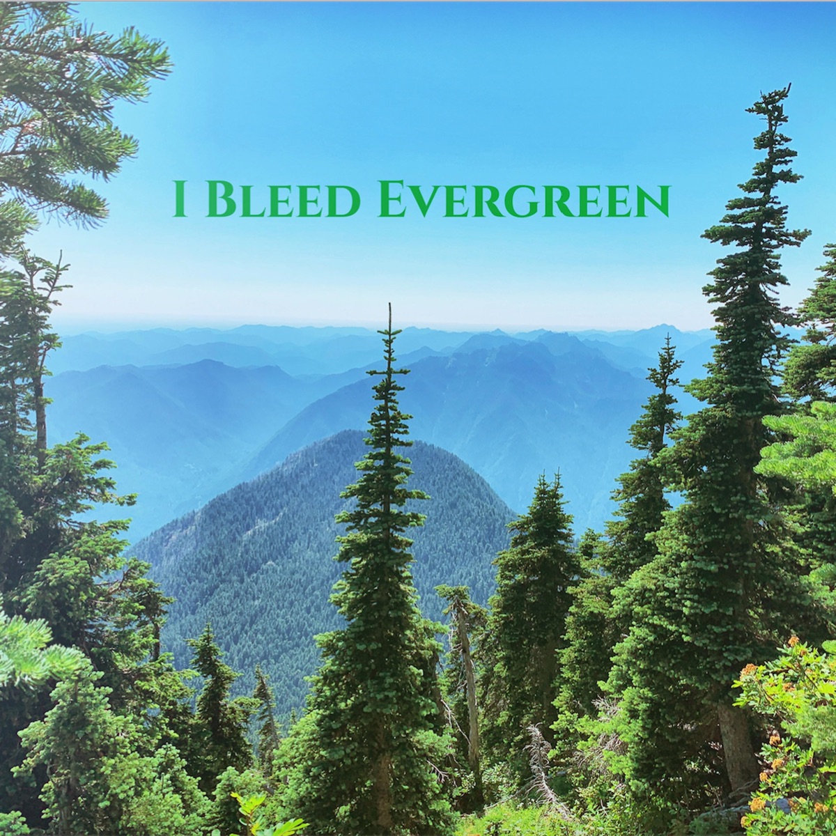 I Bleed Evergreen - Single by The Olson Bros Band album cover
