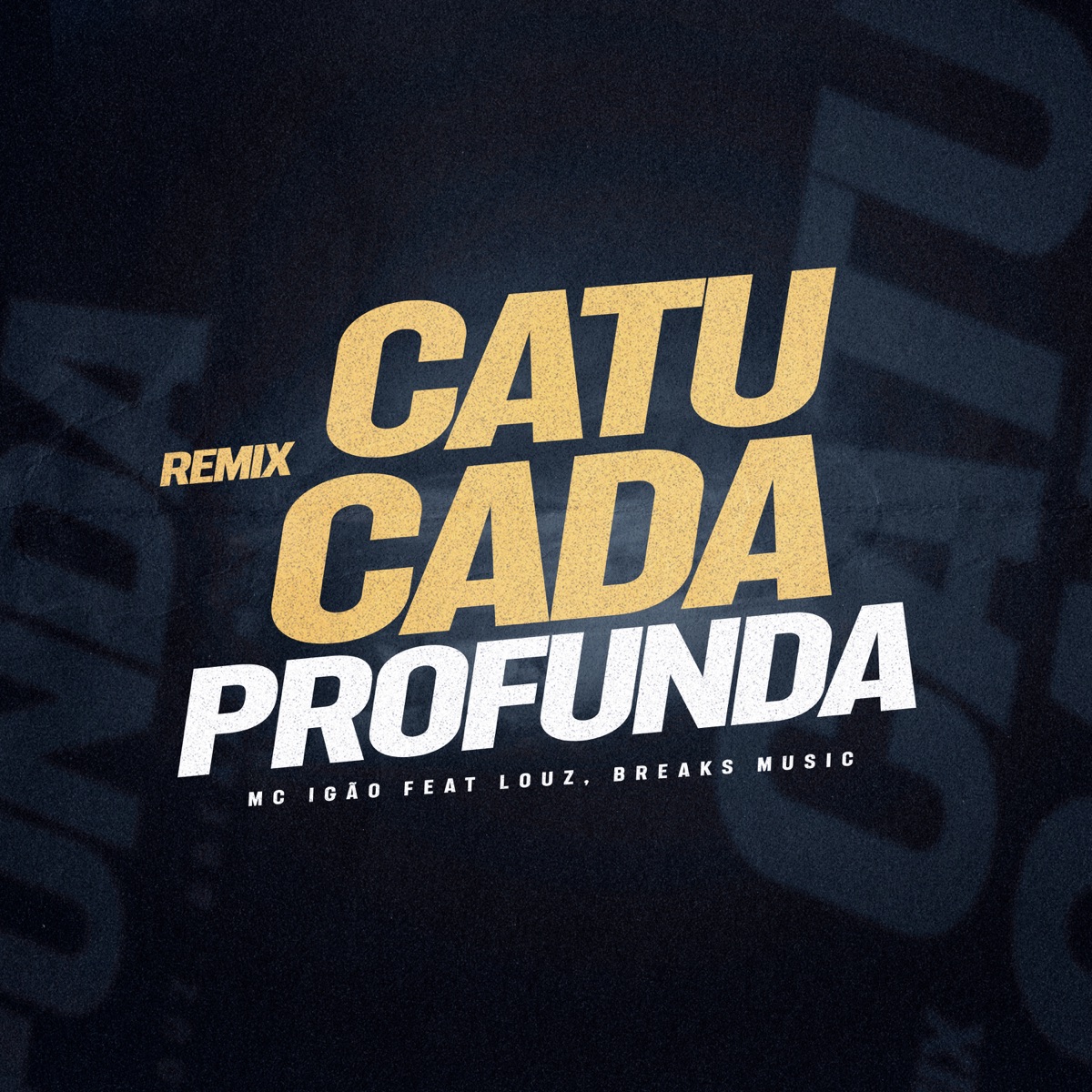Catucada Profunda (Remix) [feat. Louz & Breaks Music] - Single by MC Igão album cover