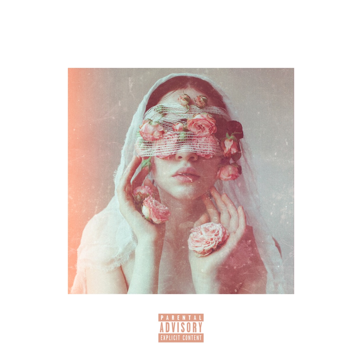 Amusement - Single by Bloque album cover