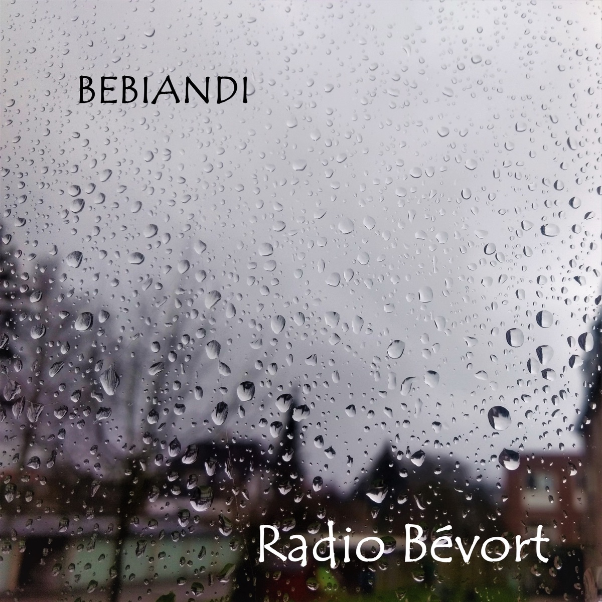Bebiandi (feat. Ole Visby) - Single by Radio Bévort album cover