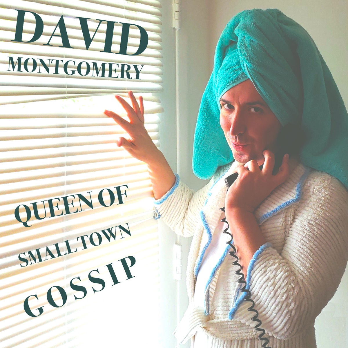 Queen of Small Town Gossip by David Montgomery album cover