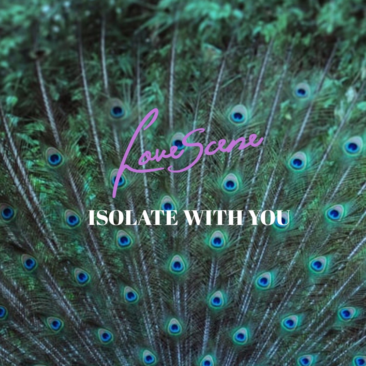 Isolate With You - Single by Lovescene album cover