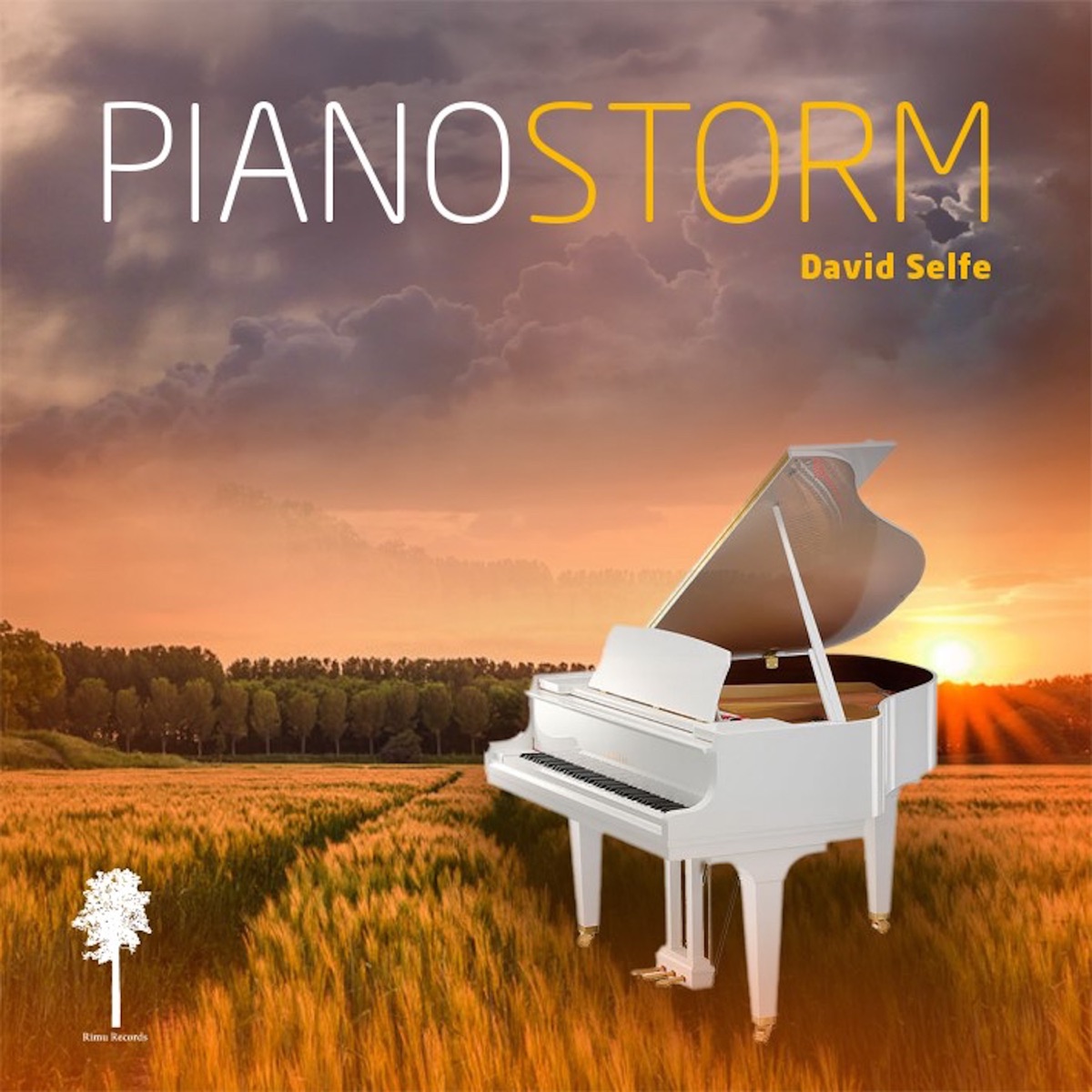 Piano Storm by David Selfe album cover