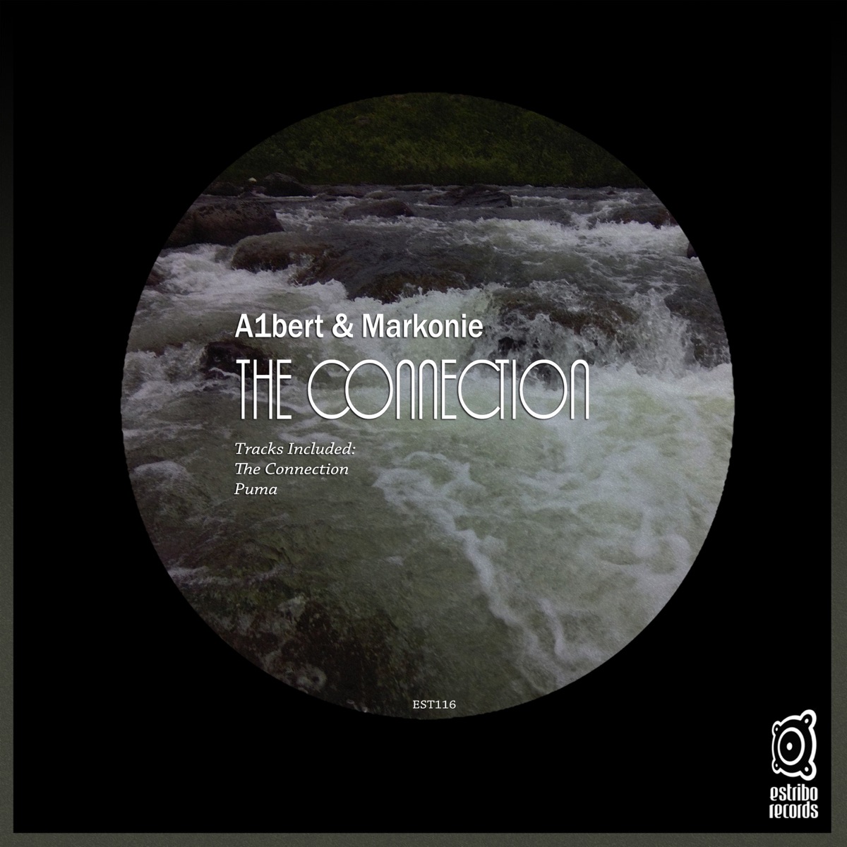 The Connection - Single by A1bert & Markonie album cover