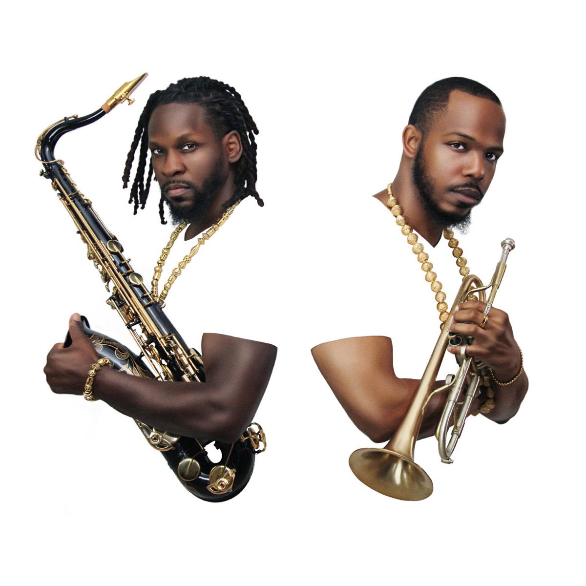 Perpetual Wealth - EP by Snúhgie & MK Zulu album cover