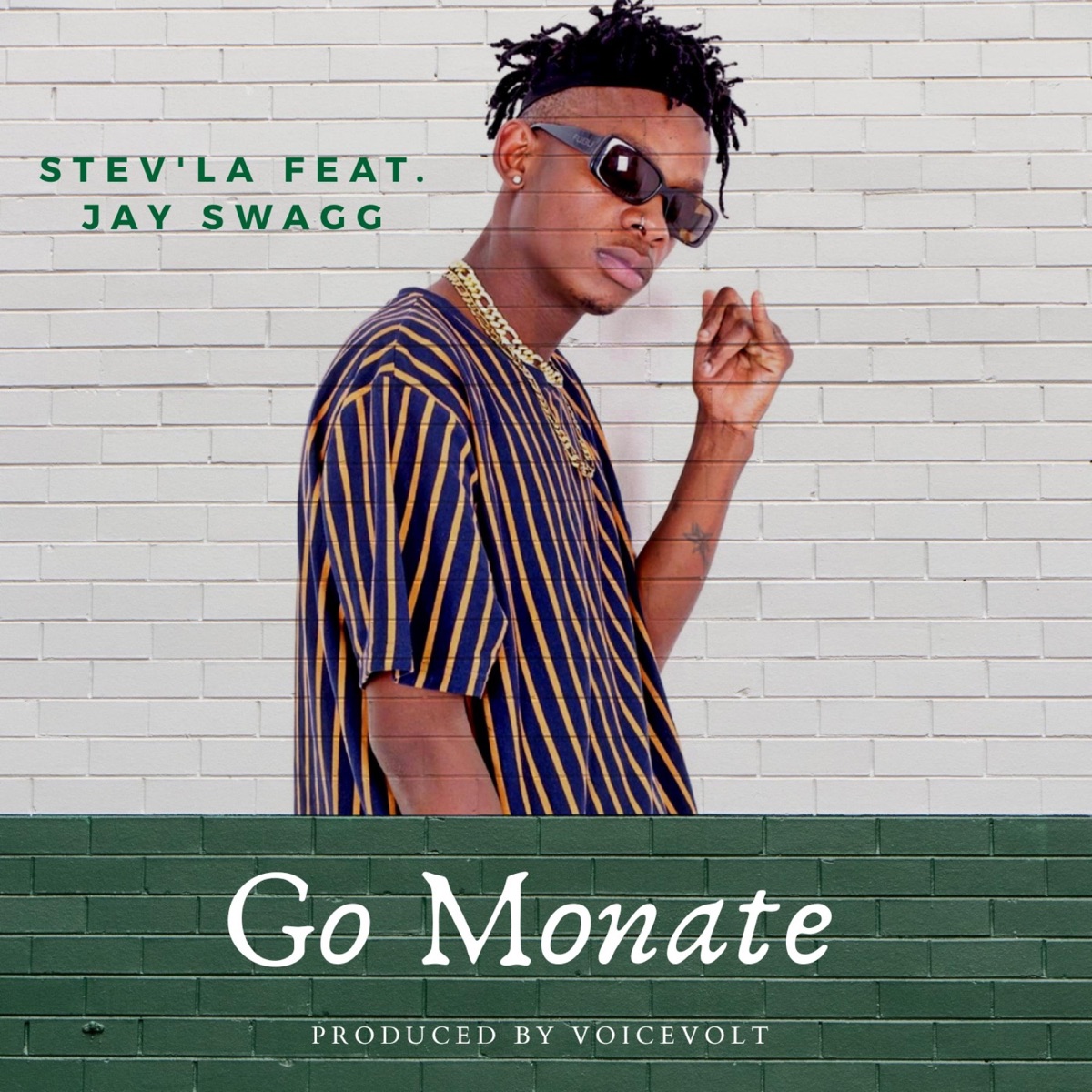 Go Monate (feat. Jay Swagg) - Single by Stev'la album cover