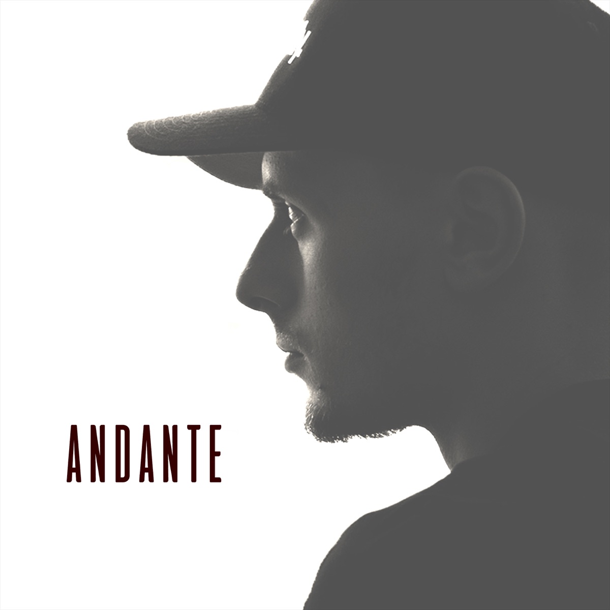 Chvíľa - Single by Andante album cover