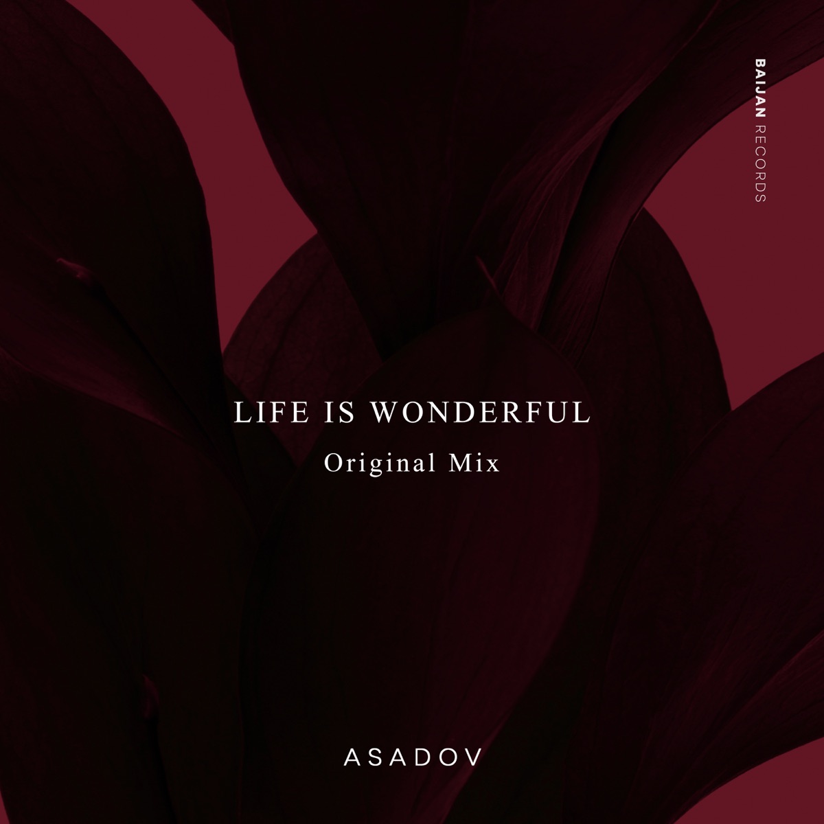 Life Is Wonderful - Single by Asadov album cover