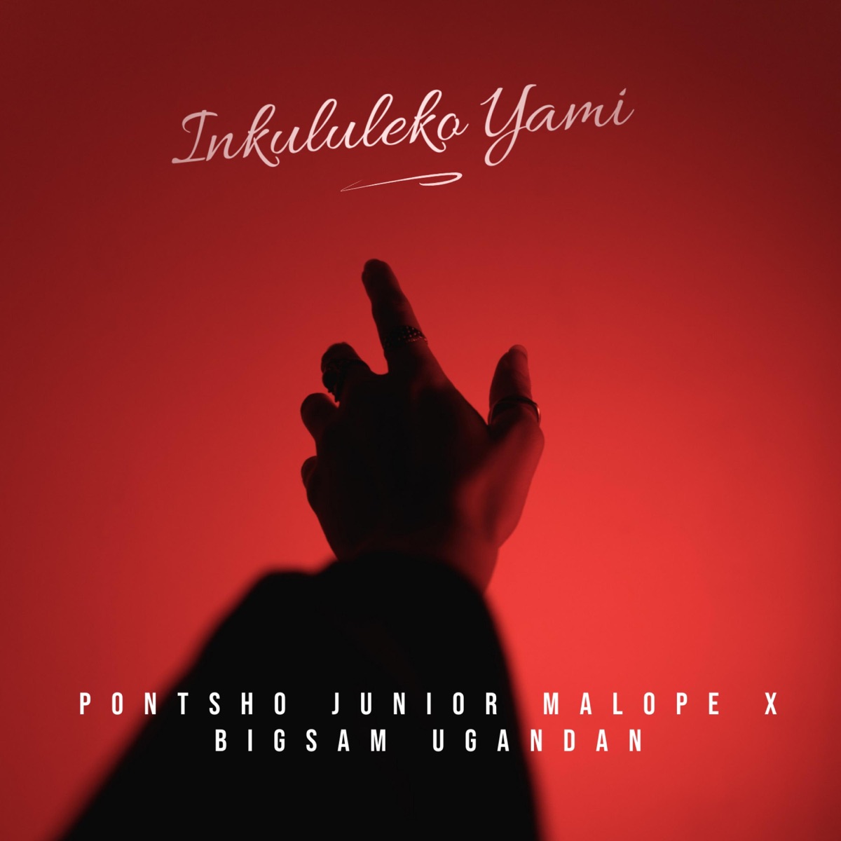 Inkululeko Yami (feat. Pontsho Junior Malope & Bigsam Ugandan) - Single by Bigsam Entertainment Rsa album cover