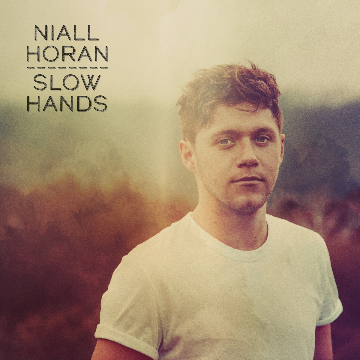 Slow Hands - Single by Niall Horan album cover