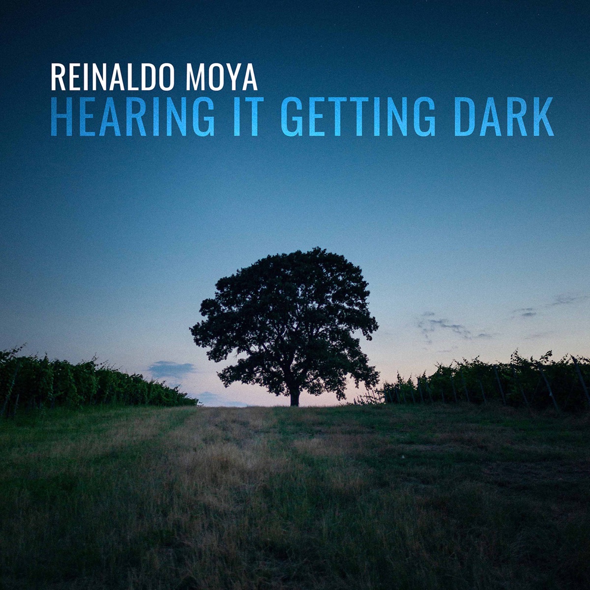 Reinaldo Moya: Hearing it Getting Dark by Latitude 49, Francesca Anderegg & Attacca Quartet album cover