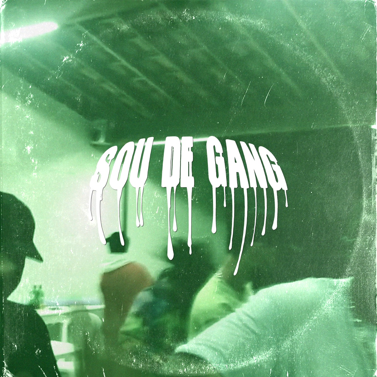 Sou de Gang (feat. Cottta, HAYGA, yng Fernandes, JE$$I, Igor N***a, Iago Sann, Ericx & GZK) - Single by Slatt TvBR album cover