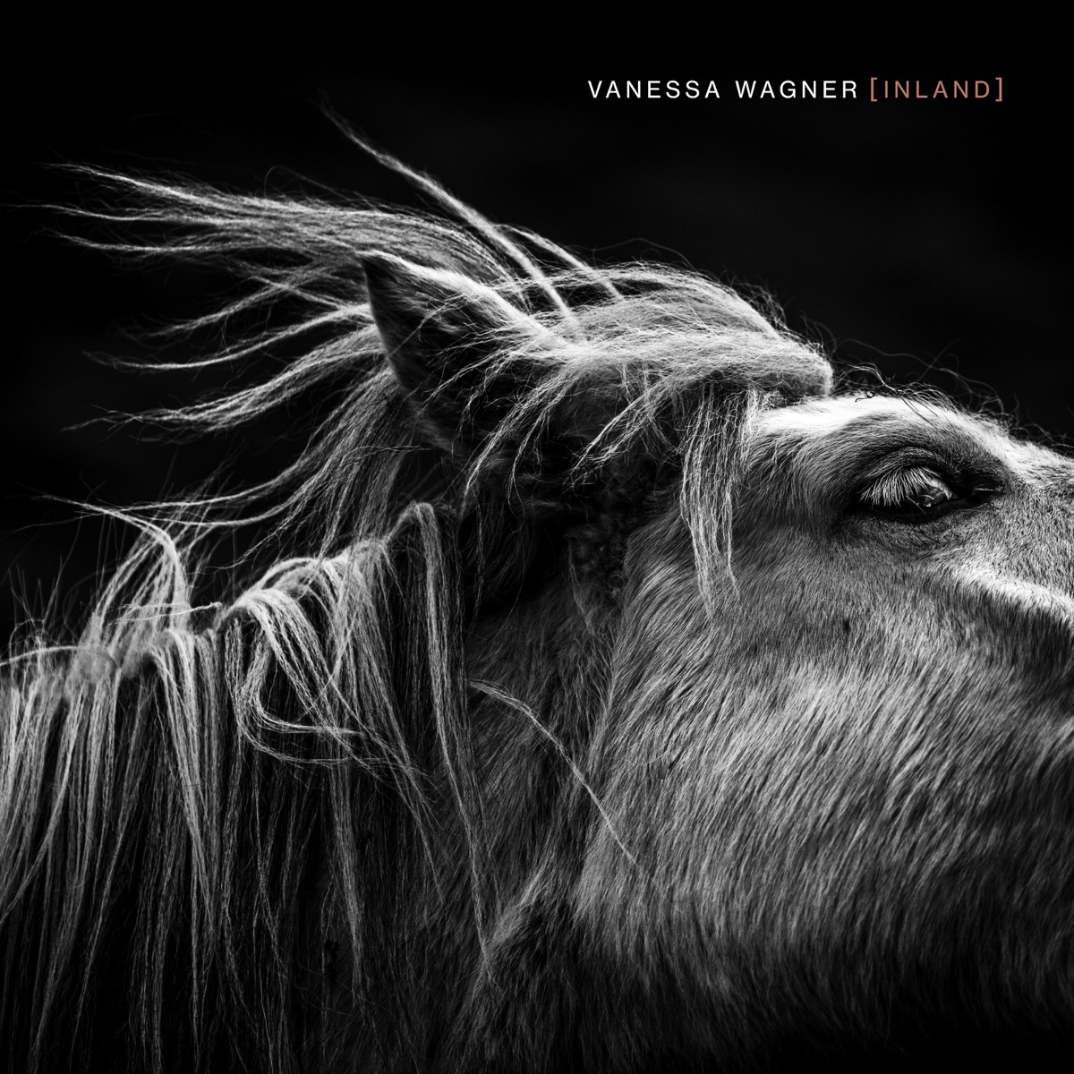 Inland by Vanessa Wagner album cover