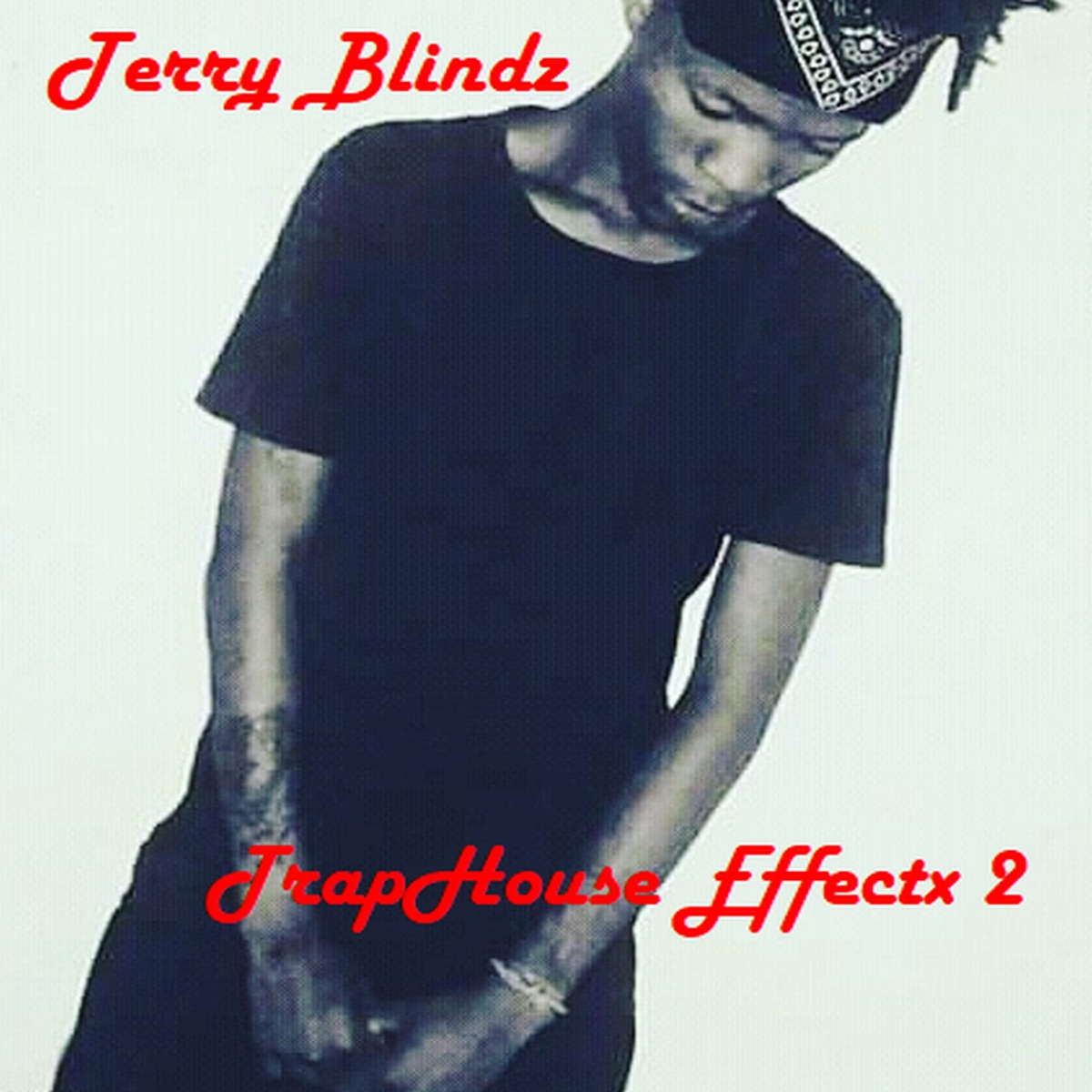 Trap House Effectx 2 - EP by Terry Blindz album cover
