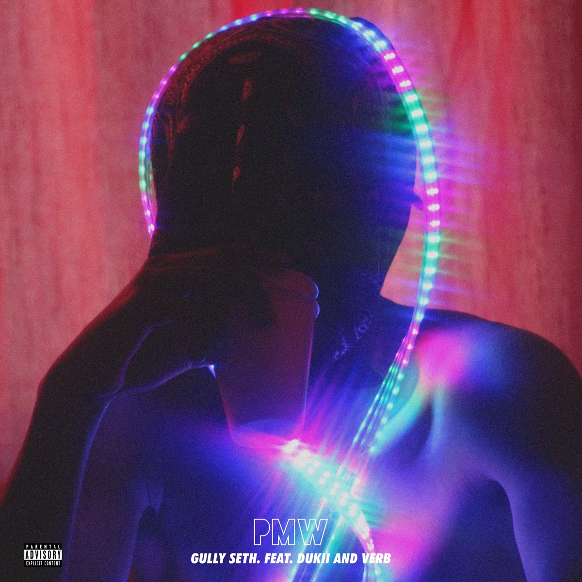 Pmw (feat. Verb & Dukii) - Single by Gully Seth album cover